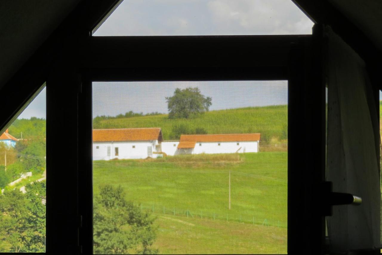 デスポトヴァツ Eco Farm Milanovicゲストハウス エクステリア 写真
