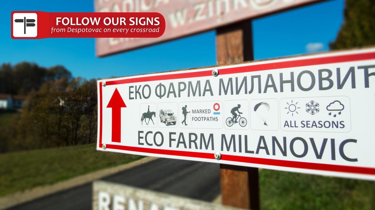 デスポトヴァツ Eco Farm Milanovicゲストハウス エクステリア 写真