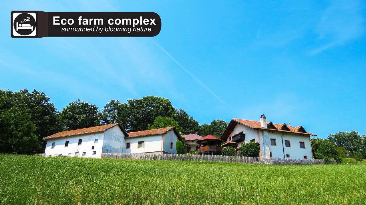 デスポトヴァツ Eco Farm Milanovicゲストハウス エクステリア 写真
